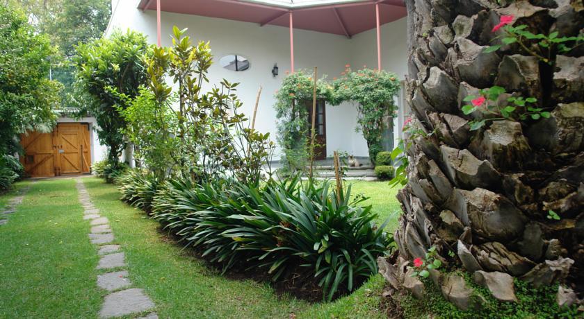 Hotel La Casa De Las Magnolias Coyoacan Exteriér fotografie