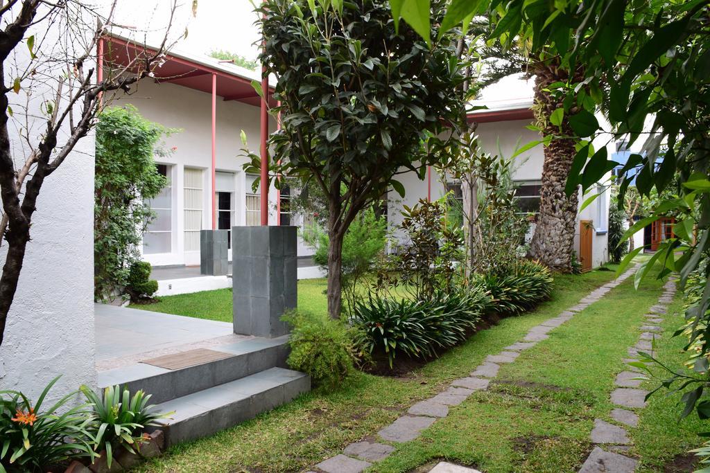 Hotel La Casa De Las Magnolias Coyoacan Exteriér fotografie