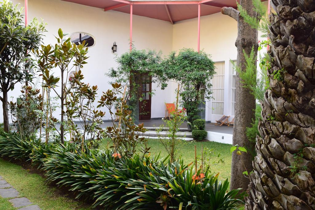Hotel La Casa De Las Magnolias Coyoacan Exteriér fotografie