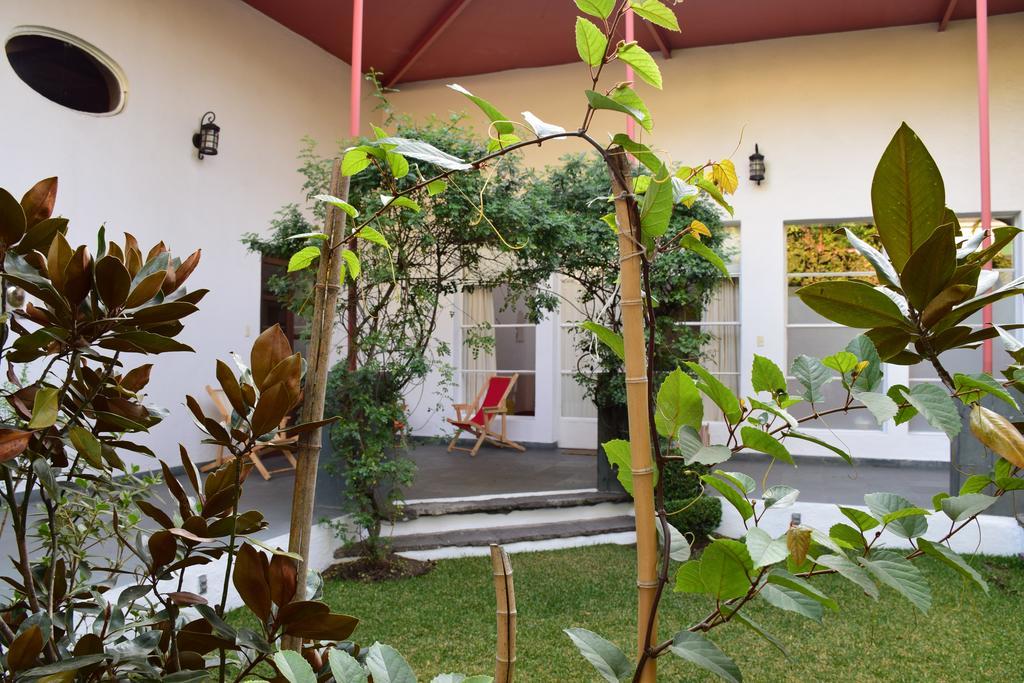 Hotel La Casa De Las Magnolias Coyoacan Exteriér fotografie