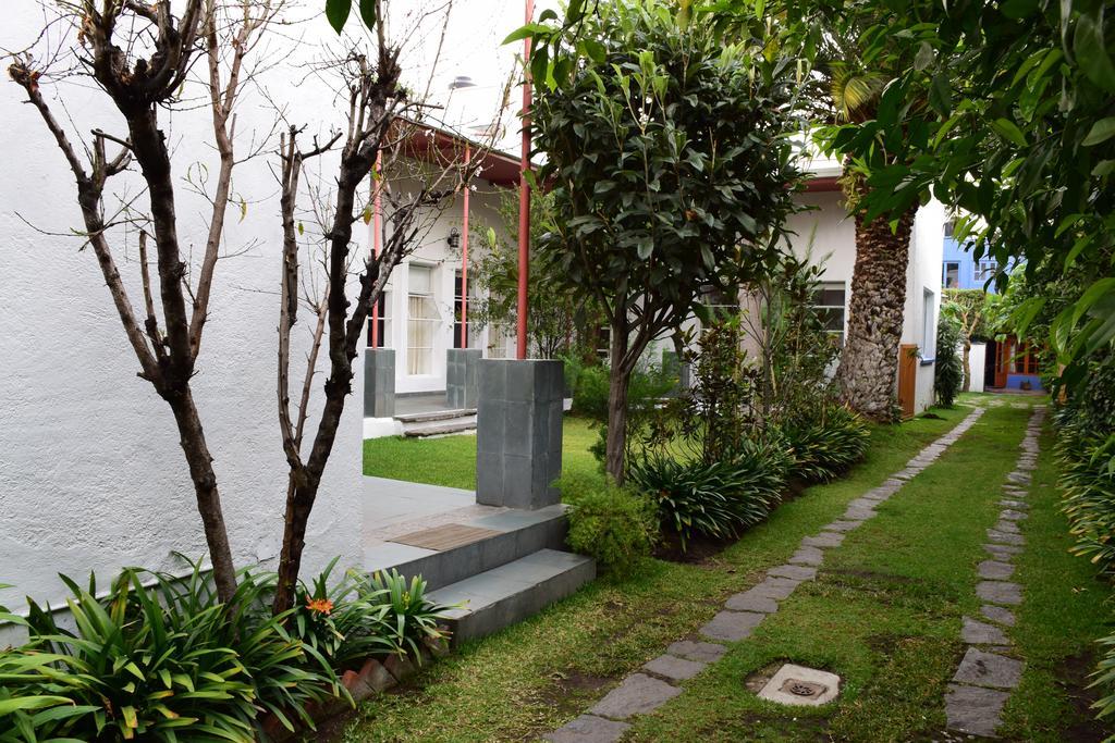 Hotel La Casa De Las Magnolias Coyoacan Exteriér fotografie